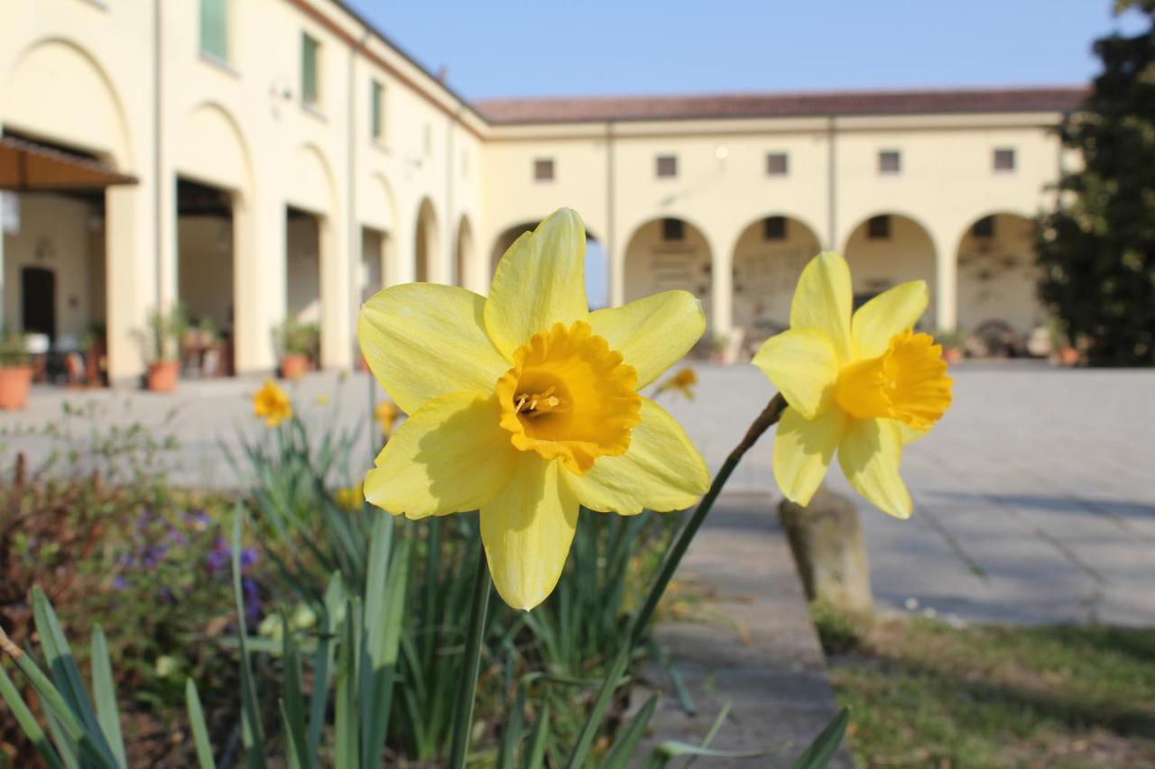 Agriturismo Corte Carezzabella San Martino di Venezze Экстерьер фото