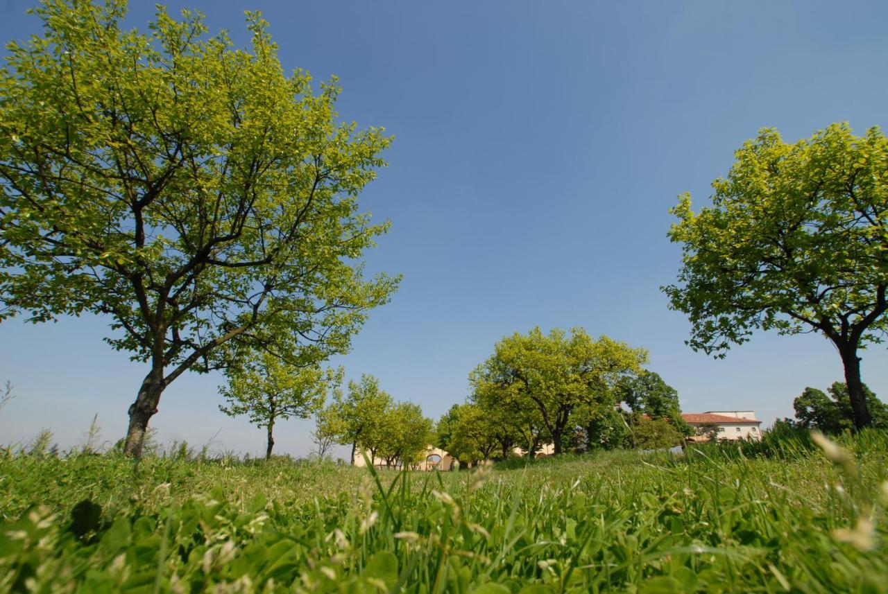 Agriturismo Corte Carezzabella San Martino di Venezze Экстерьер фото